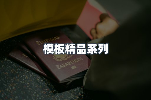 模板精品系列
